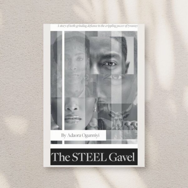 Book Recommendation: The Steel Gavel